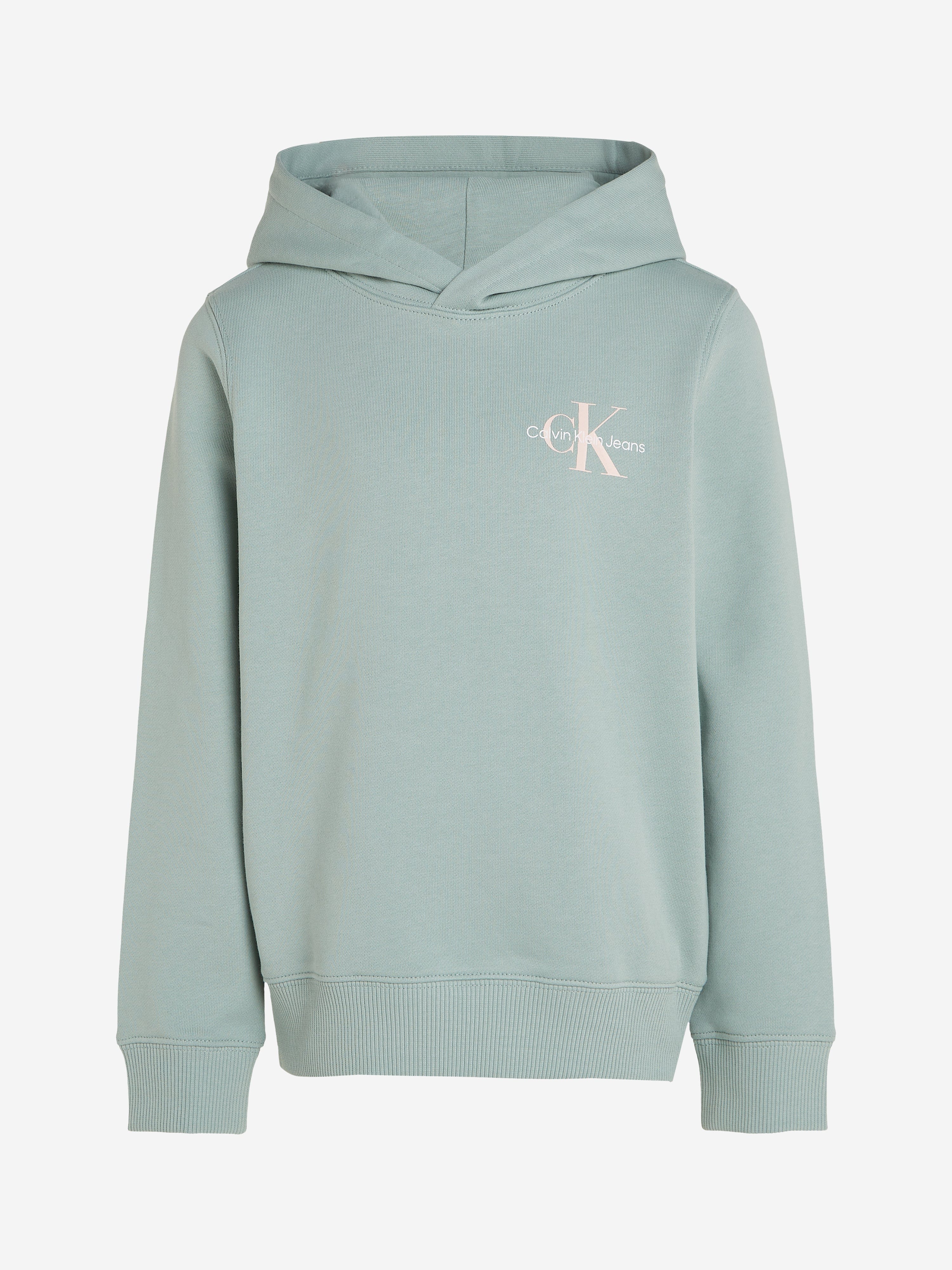 Calvin Klein Calvin Klein Kids Small Monogram Hoodie in Green