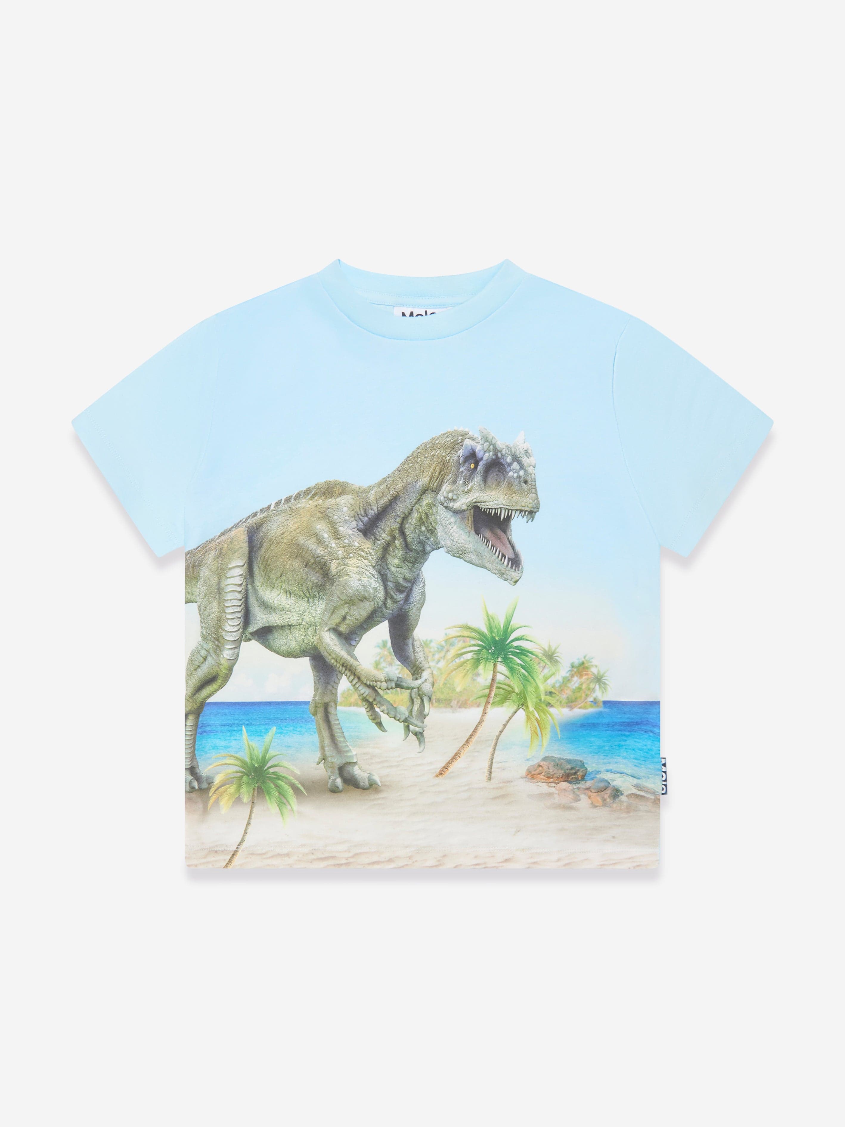 Molo Molo Boys Beach Dinosaur Print T-Shirt in Blue Childsplay