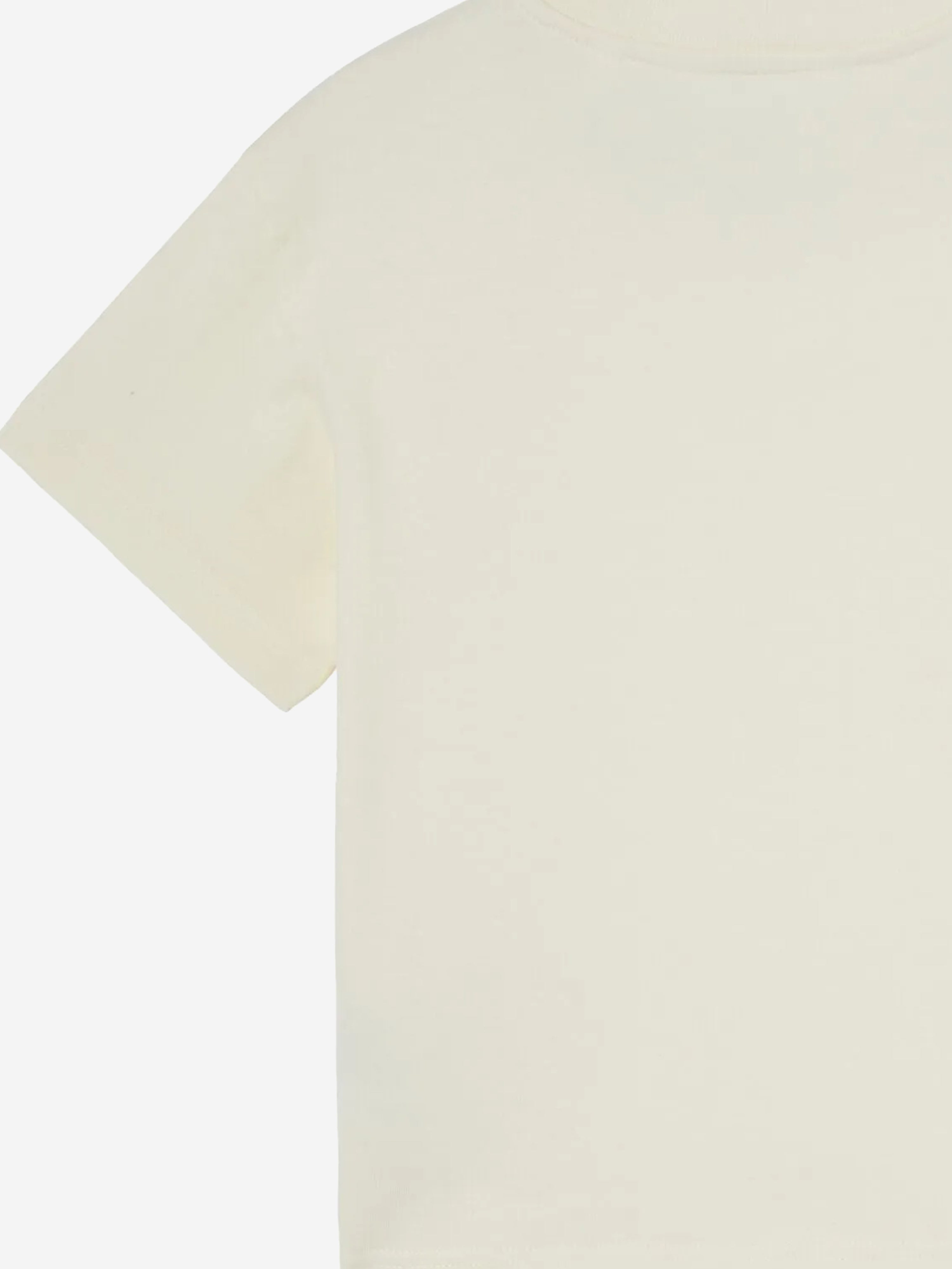 PALS5077_IVORY_4