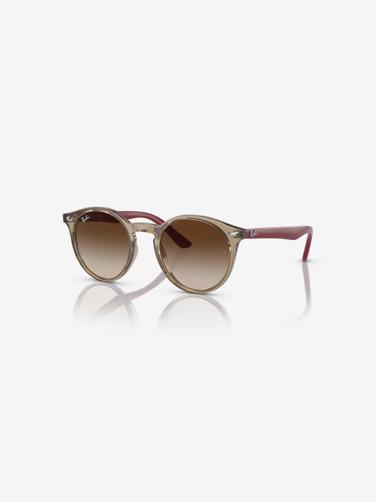 RAYS6002_BROWN_1