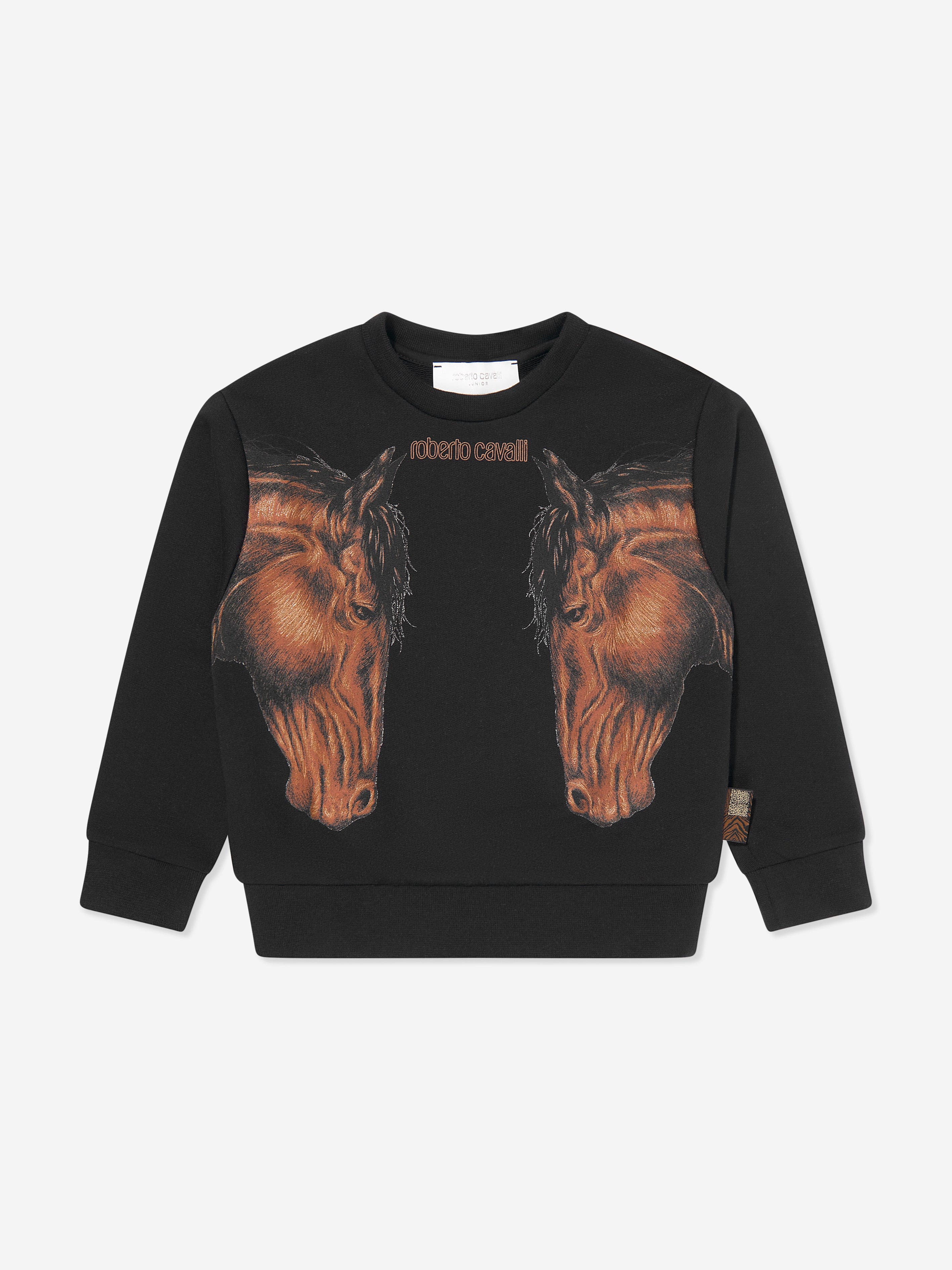 Roberto cavalli sweatshirt sale