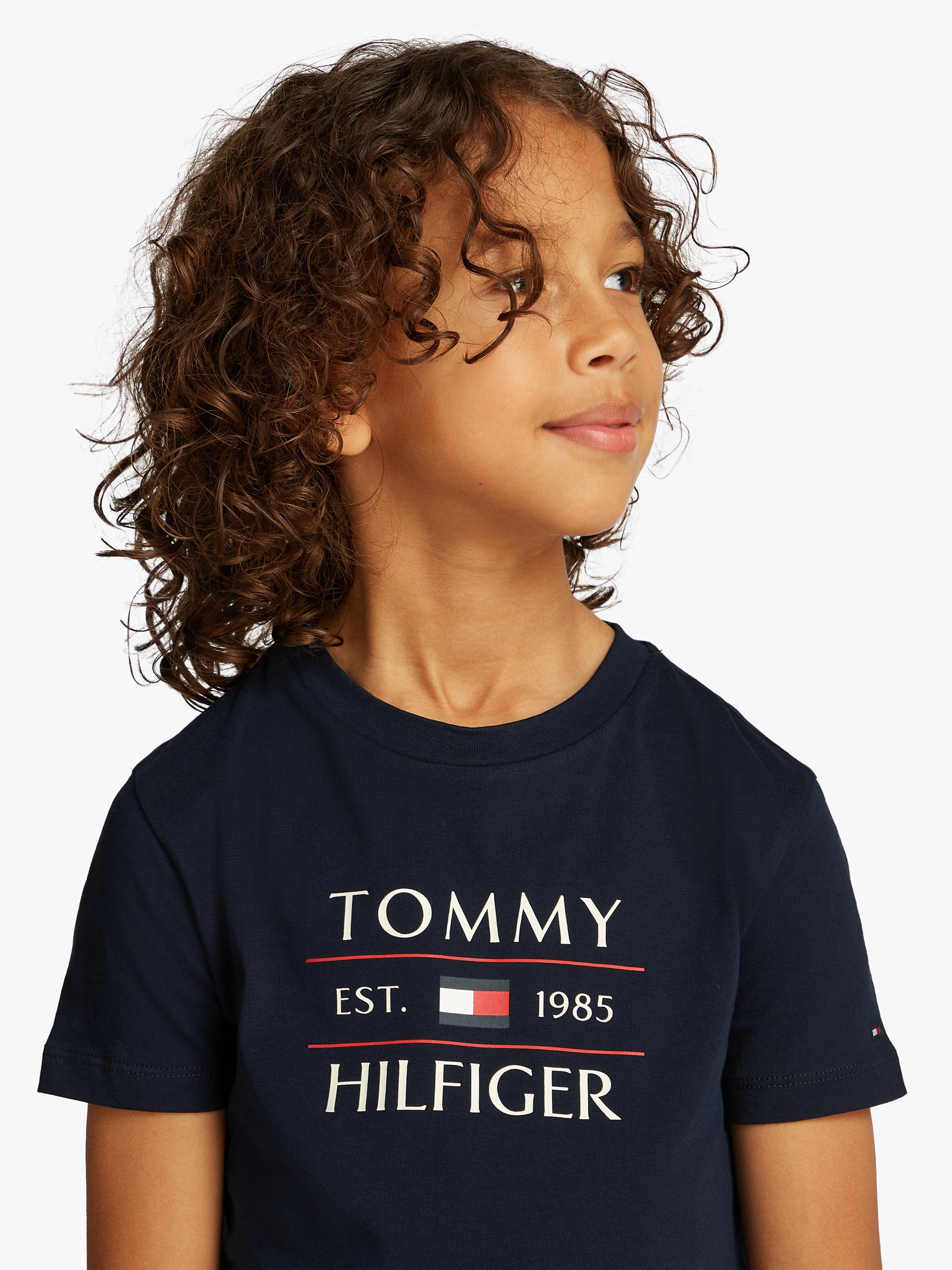 Tommy Hilfiger Boys Tommy Flag T-Shirt in Navy