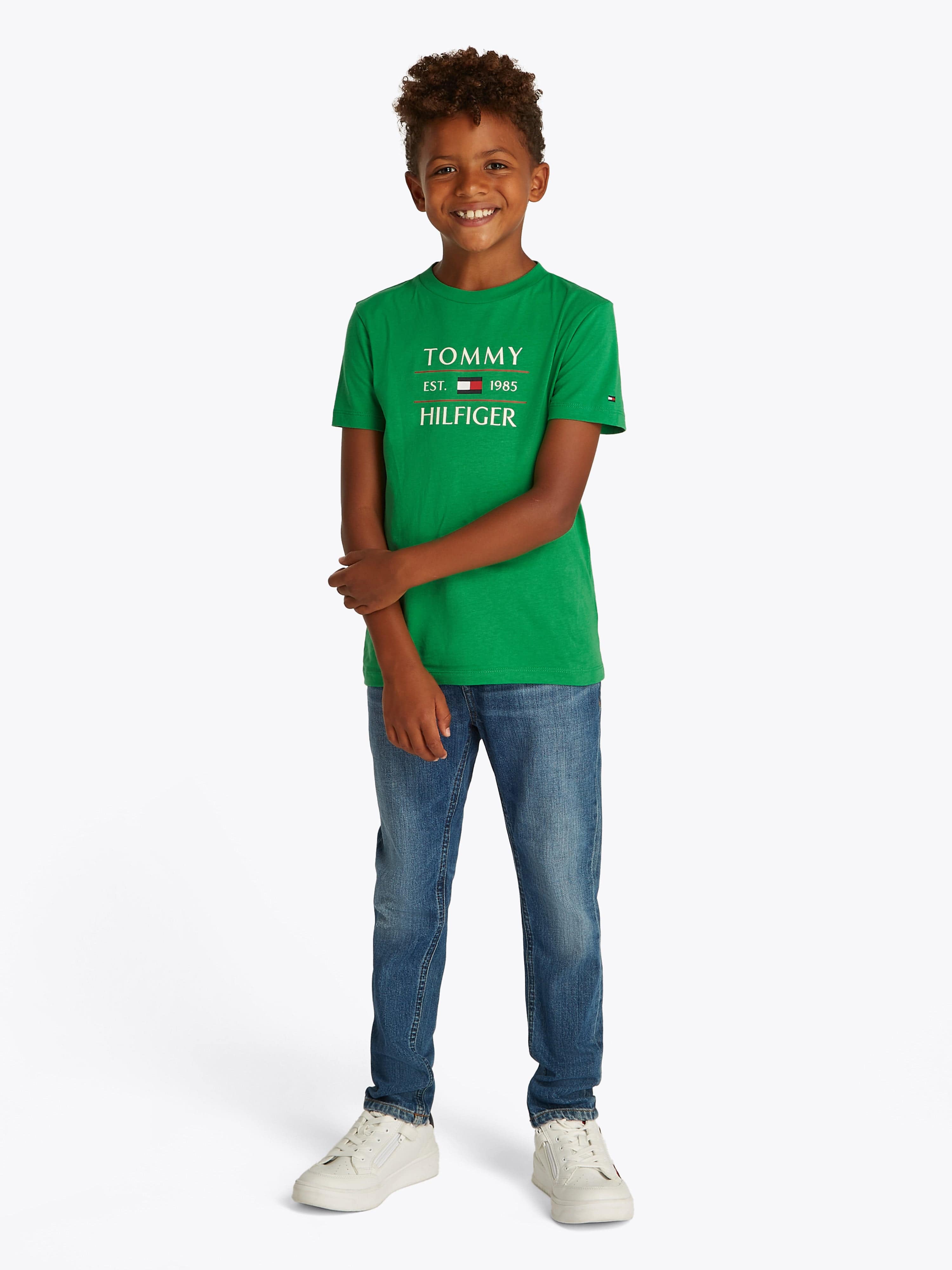 Tommy Hilfiger Boys Tommy Flag T-Shirt in Green