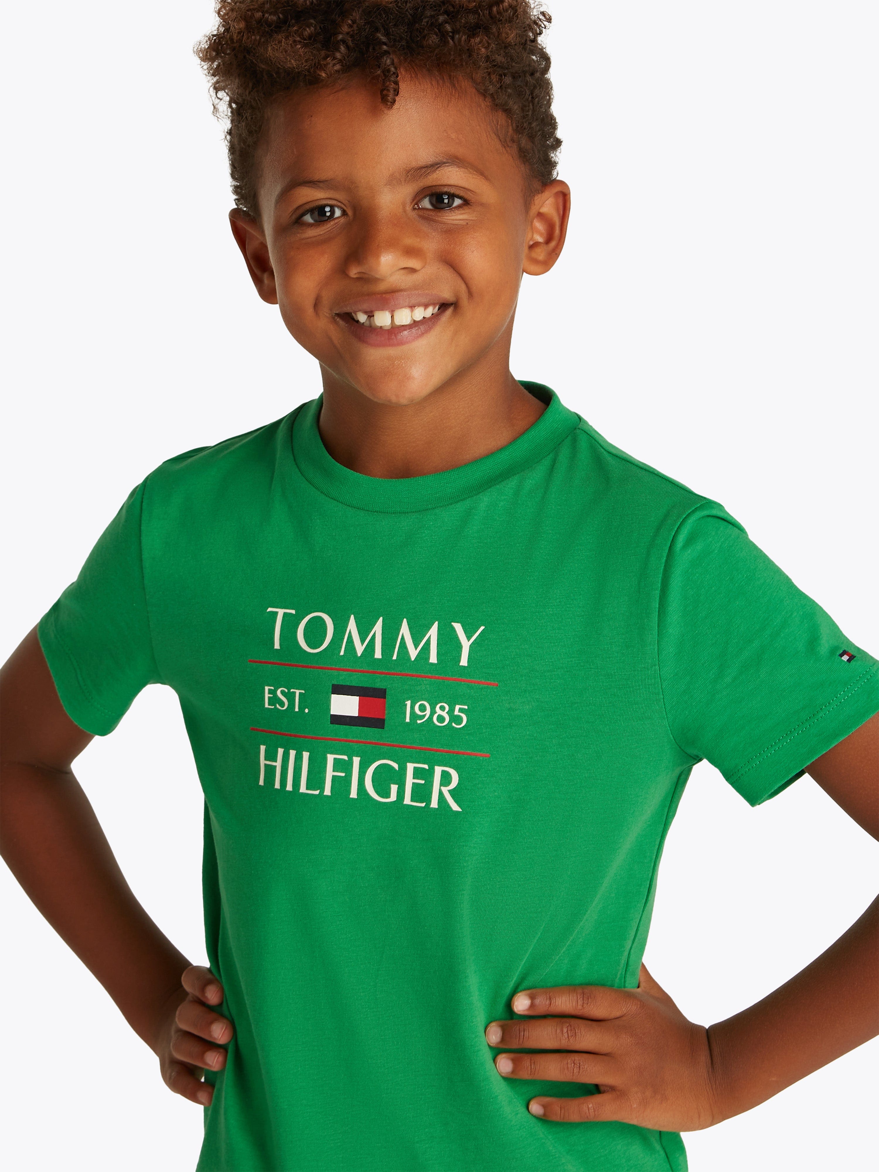Tommy Hilfiger Boys Tommy Flag T-Shirt in Green