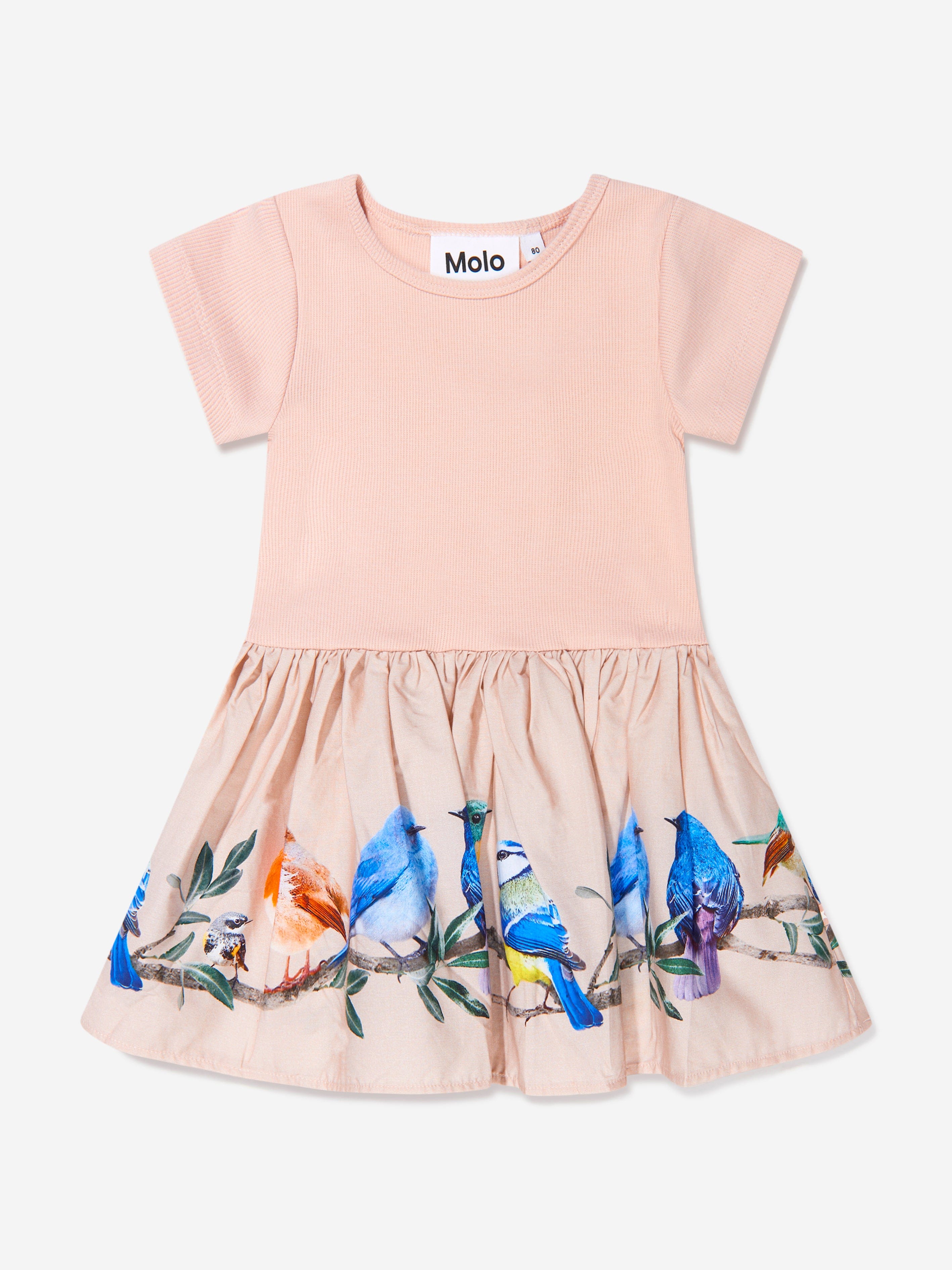 Vans molo butterfly sales