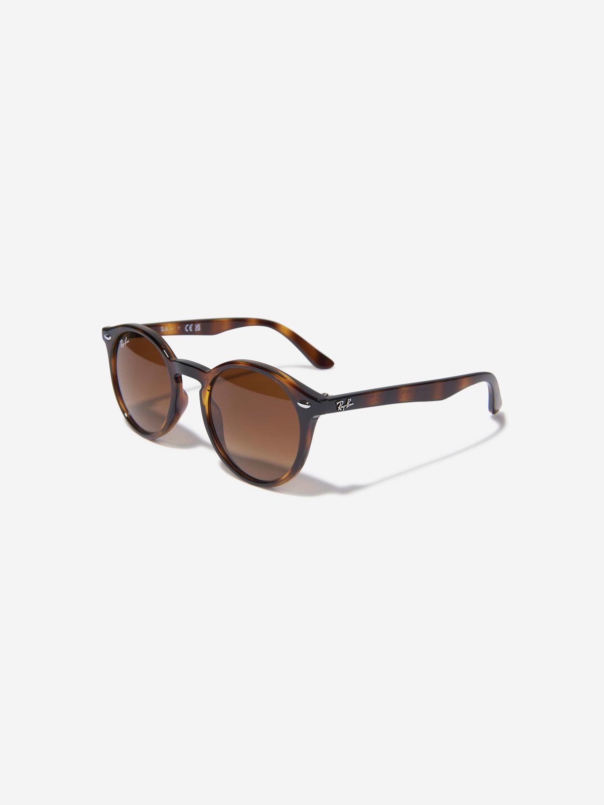 RB9064S Sunglasses